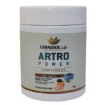 Artro Power 300g