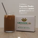 Theolim™ Frapuccino 225mg Girassol Life 30 Sachês