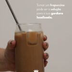 Theolim™ Frapuccino 225mg Girassol Life 30 Sachês